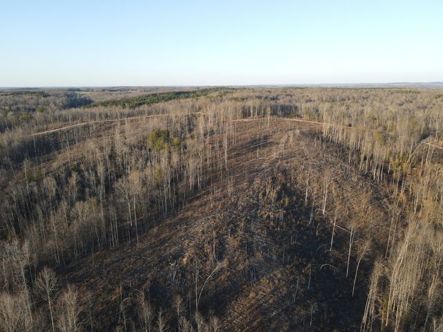 0 Copper Spring Road, Springville, TN 38256