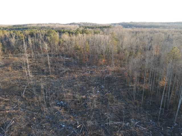 0 Copper Spring Road, Springville, TN 38256