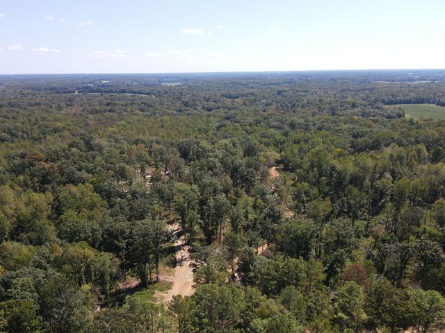 0 Copper Spring Road, Springville, TN 38256