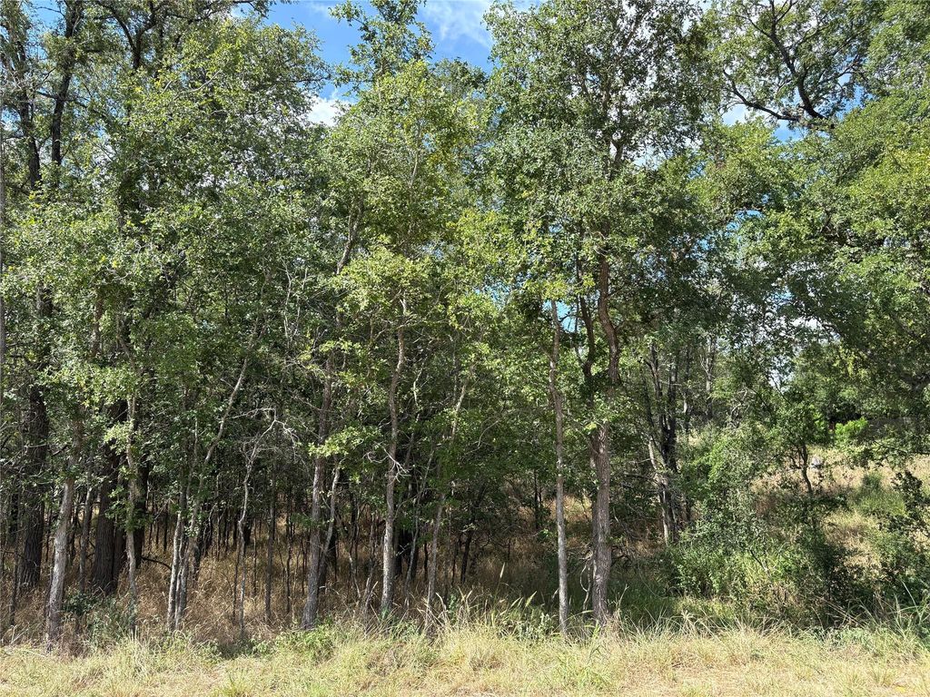 103 & 105 W Kikipua LN, Bastrop, TX 78602