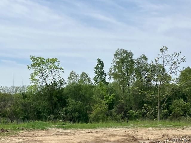 1873 Elizabeth Lane, Ypsilanti, MI 48198