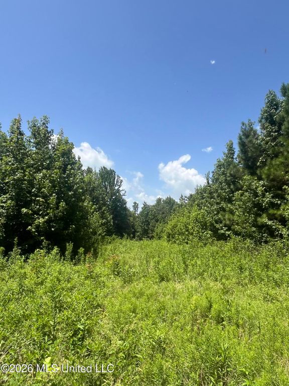 Burton Road, Senatobia, MS 38668 — exterior