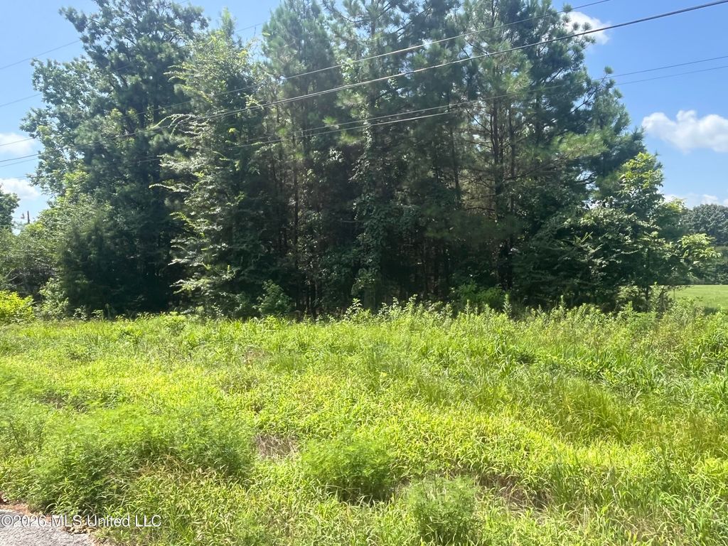 Burton Road, Senatobia, MS 38668 — photo 2