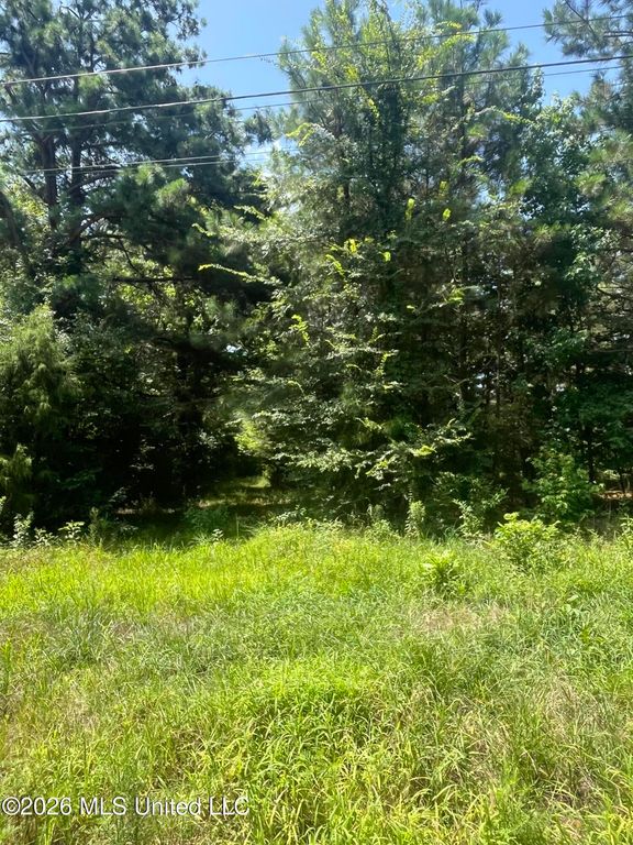Burton Road, Senatobia, MS 38668 — photo 3