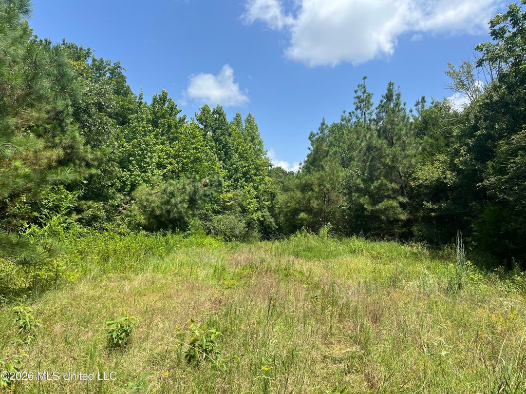 Burton Road, Senatobia, MS 38668 — photo 4