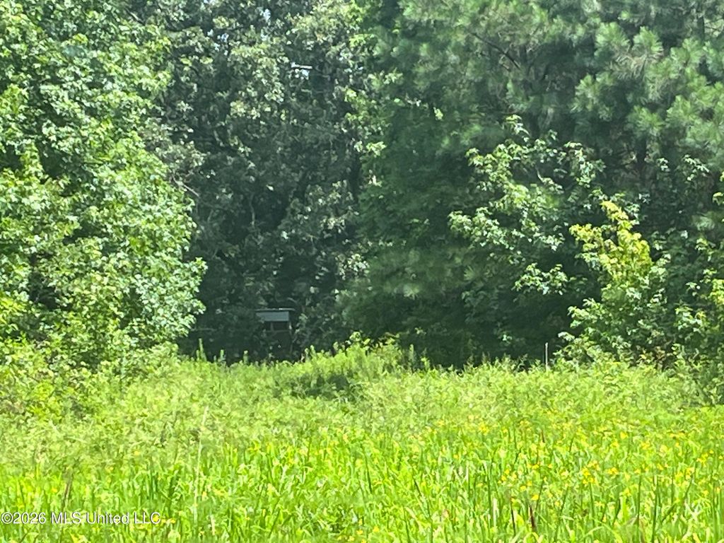 Burton Road, Senatobia, MS 38668 — photo 5