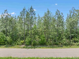 Lot 52 Mineral Springs Rd, Jay, FL 32565