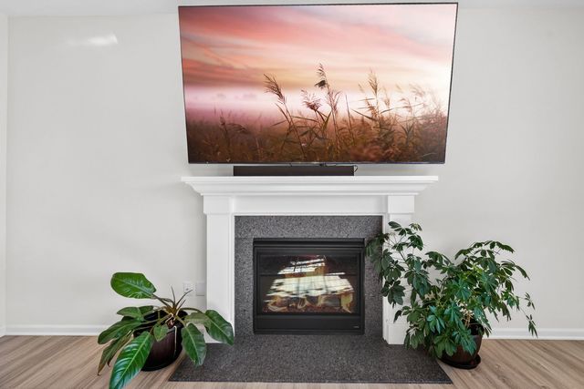 3803 Ivy Lane, Elgin, IL 60124