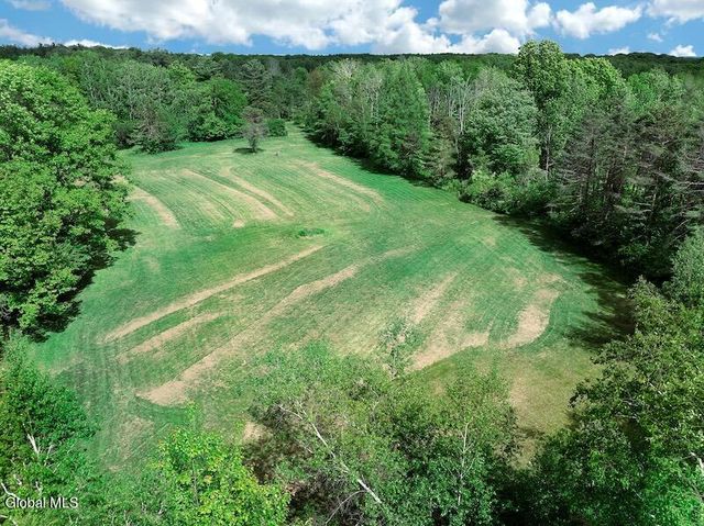 3109 Lake Road, Delanson, NY 12053