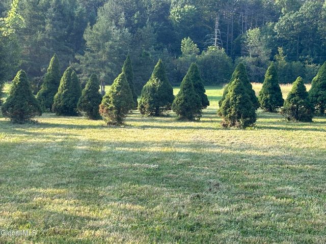 3109 Lake Road, Delanson, NY 12053
