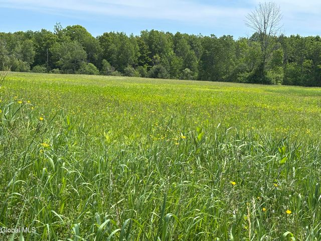 3109 Lake Road, Delanson, NY 12053