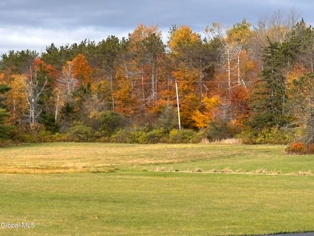 3109 Lake Road, Delanson, NY 12053