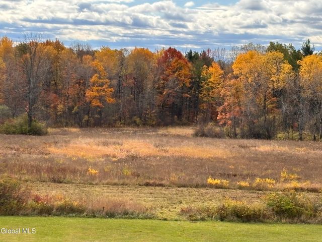 3109 Lake Road, Delanson, NY 12053