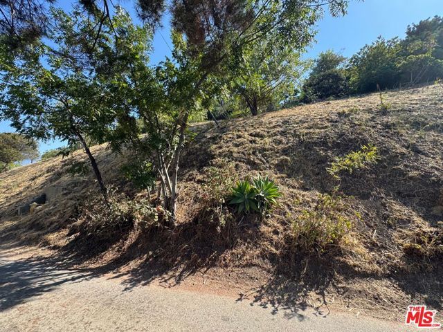 2512 Hines Drive, Los Angeles, CA 90065