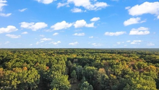 2730 Wilson Sharpsville Road, Cortland, OH 44410