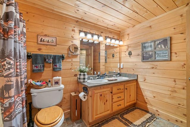 115 Wildcat Run Road, Suches, GA 30572