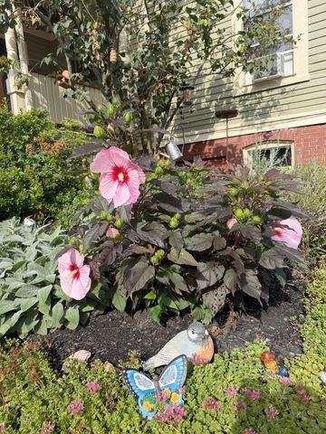 54 Bromfield Street 5, Newburyport, MA 01950