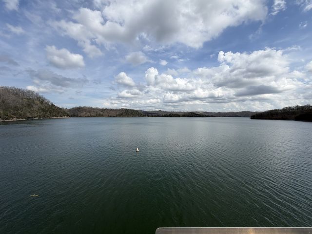 906 Riverside Cir, Celina, TN 38551