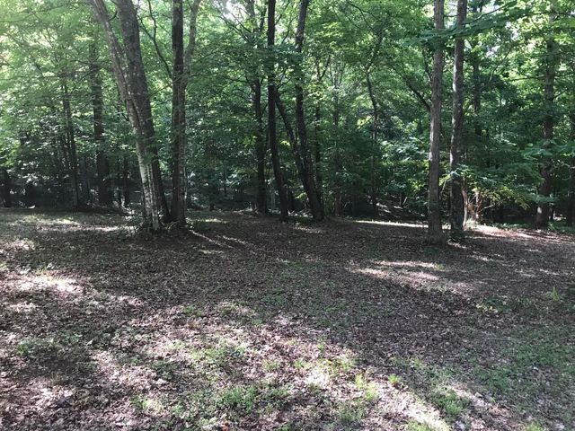 503 Wilderness Way, Dunlap, TN 37327