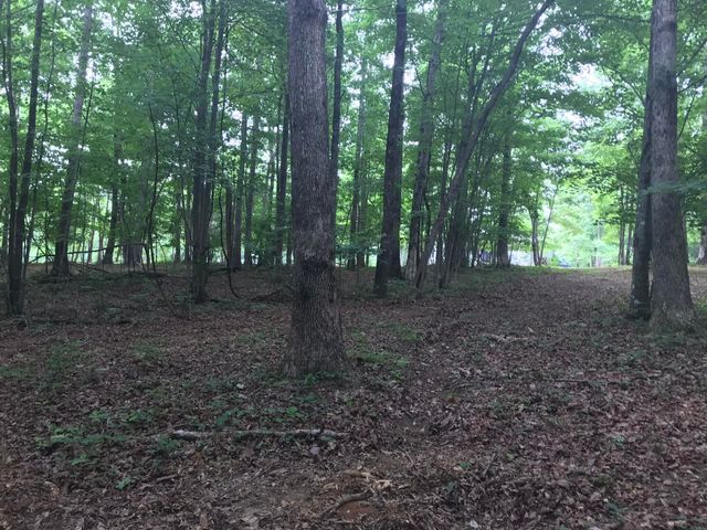 503 Wilderness Way, Dunlap, TN 37327