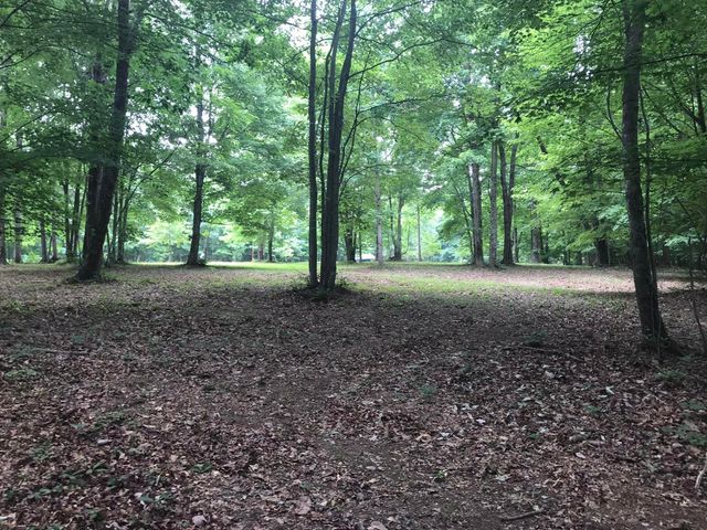 503 Wilderness Way, Dunlap, TN 37327