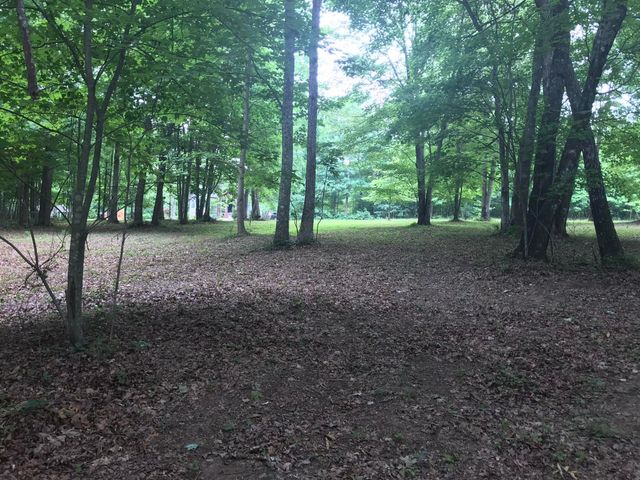 503 Wilderness Way, Dunlap, TN 37327