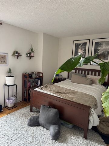 44 Washington Street 817, Brookline, MA 02445