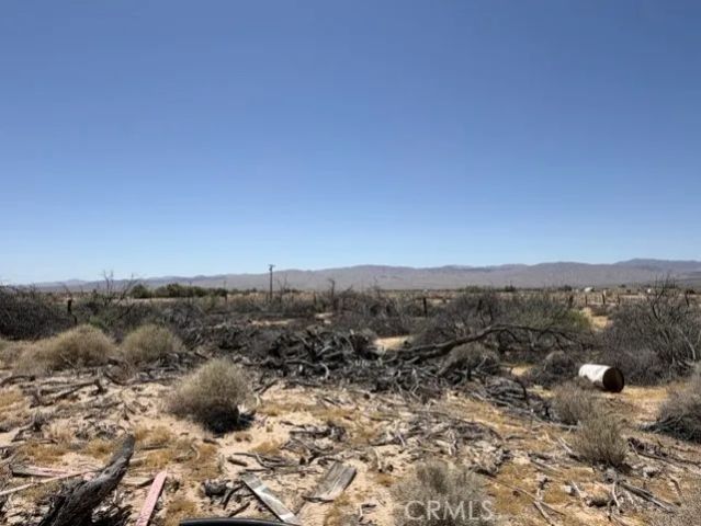 48423 Thoreau Road, Newberry Springs, CA 92365