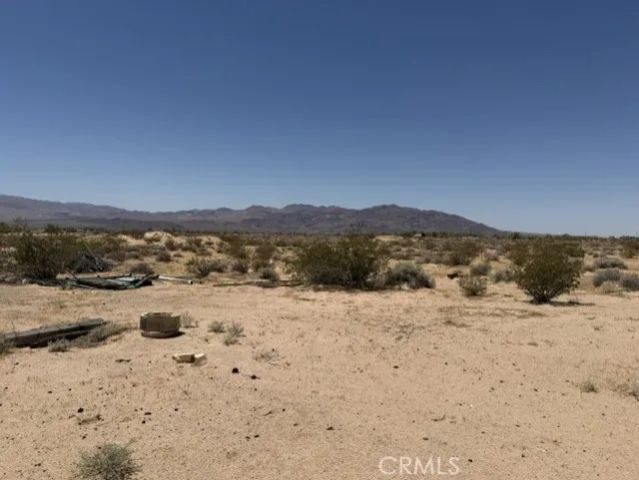 48423 Thoreau Road, Newberry Springs, CA 92365