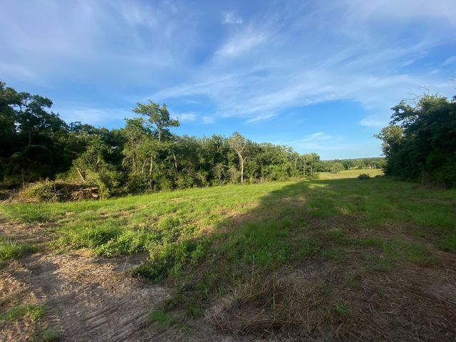 Tract 7 & 8 County Road 426, Marquez, TX 77865