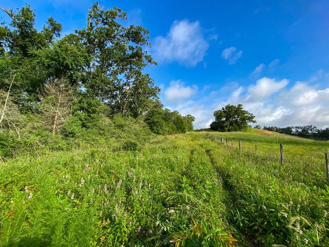 Tract 7 & 8 County Road 426, Marquez, TX 77865