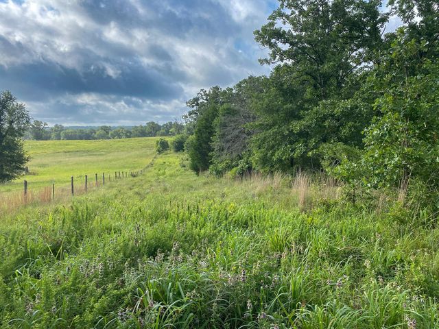 Tract 7 & 8 County Road 426, Marquez, TX 77865