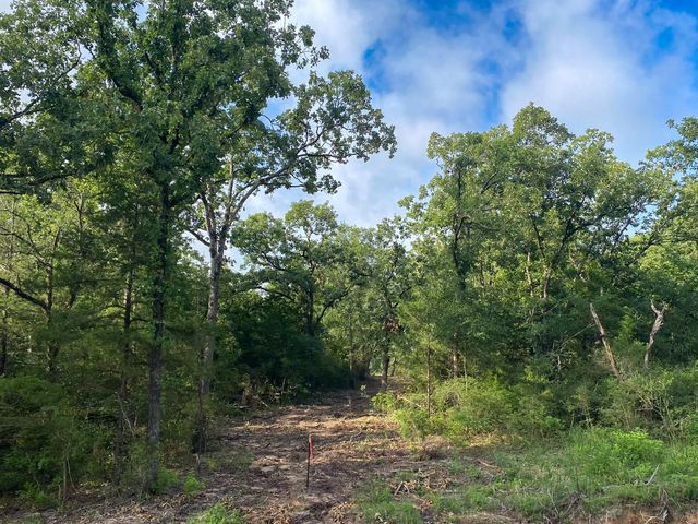 Tract 7 & 8 County Road 426, Marquez, TX 77865