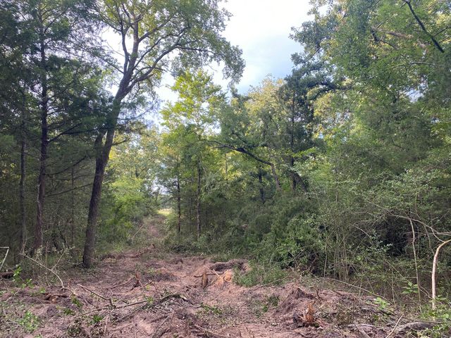 Tract 7 & 8 County Road 426, Marquez, TX 77865