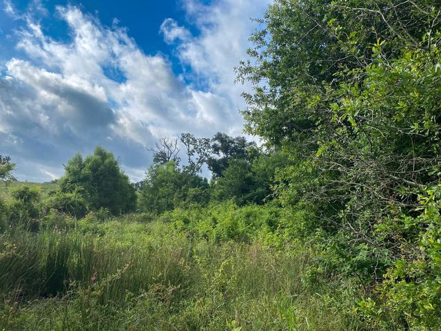 Tract 7 & 8 County Road 426, Marquez, TX 77865