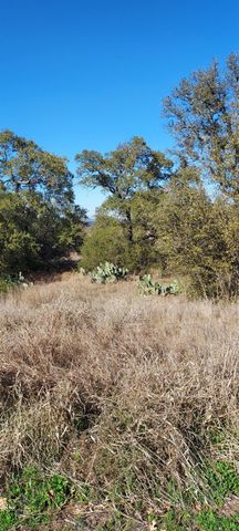 Lot 50 Pristine PASS, Buchanan Dam, TX 78609