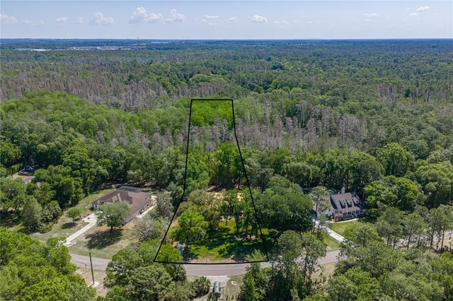 8600 SHENANDOAH RUN, Wesley Chapel, FL 33544