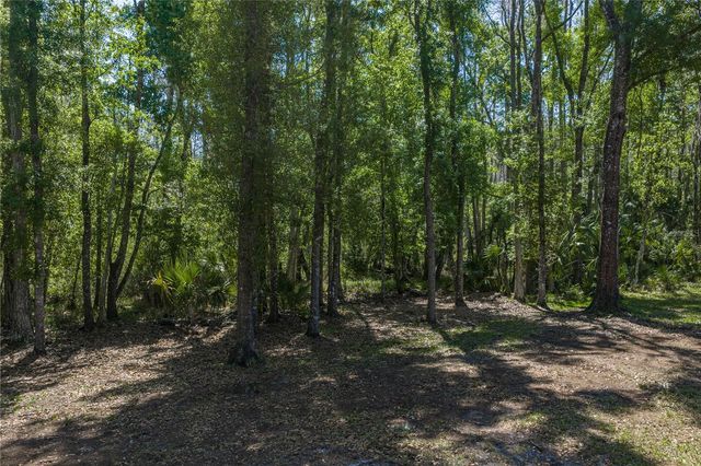 8600 SHENANDOAH RUN, Wesley Chapel, FL 33544