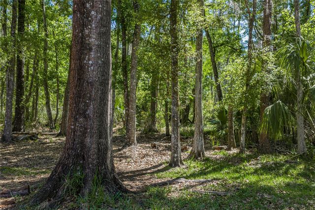 8600 SHENANDOAH RUN, Wesley Chapel, FL 33544