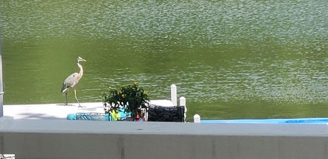 786 Isle Of Pine Circle, Waterloo, SC 29384