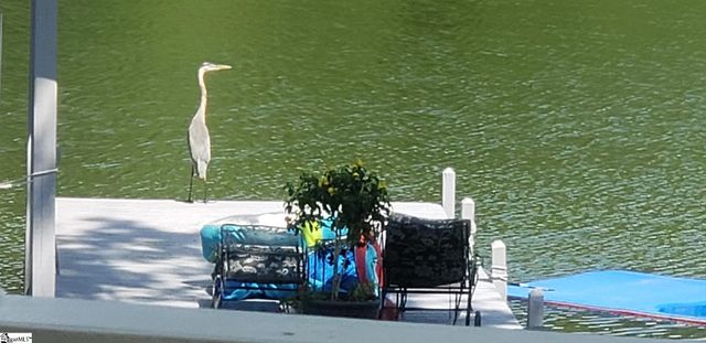 786 Isle Of Pine Circle, Waterloo, SC 29384