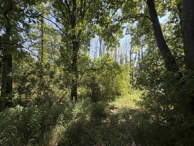 W9150 FOREVERGREEN COURT, Hortonville, WI 54944