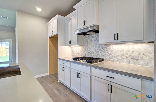 850 Saltbush Street, New Braunfels, TX 78130