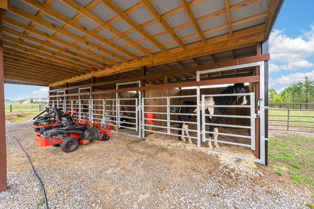 1765 Sugartree Springs Rd, Belvidere, TN 37306