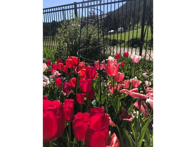 239 Estes Park Estates Dr, Lyons, CO 80540