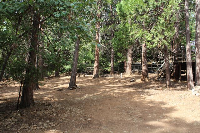 603 Legar Drive, Camp Nelson, CA 93265