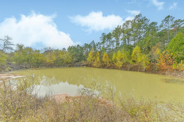 22422 Tomball Cemetery Rd, Tomball, TX 77377