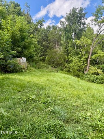 116 Jc Vines Road, Hampton, TN 37658