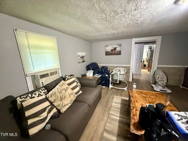 116 Jc Vines Road, Hampton, TN 37658
