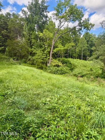116 Jc Vines Road, Hampton, TN 37658